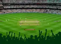 Tricks of Sachin Saga Cricket Screen Shot 3