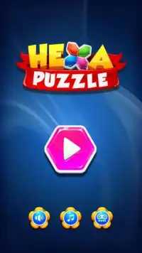 Hexa Puzzle Block Screen Shot 7