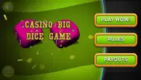 Casino Big Dice Game Screen Shot 4