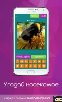 Угадай насекомое Screen Shot 11