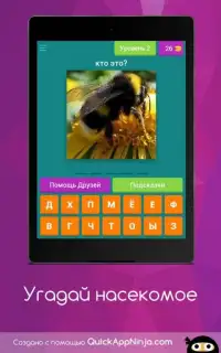 Угадай насекомое Screen Shot 7