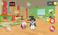 Dog Simulator Screen Shot 2
