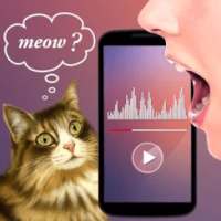 Translator for Cats Prank