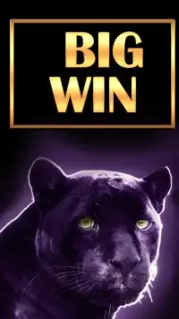 Safari Slots – Wild Gold Lion Screen Shot 0