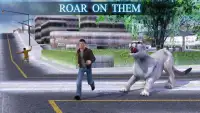 Polar Lion Sim Screen Shot 3