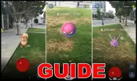 How to catch Pokemon | Guide Screen Shot 2