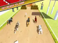 Dog Training Jump & Stunt Sim Screen Shot 8