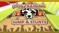 Dog Training Jump & Stunt Sim Screen Shot 17