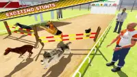 Dog Training Jump & Stunt Sim Screen Shot 3