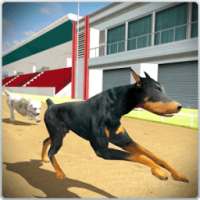 Dog Training Jump & Stunt Sim
