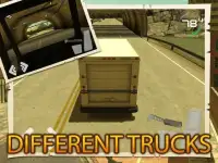 Real Traffic Truck Simulator Screen Shot 3