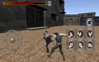 The Fighting King: 3D Arcade Screen Shot 3