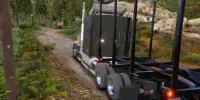 Euro Truck Simulator 2017 Screen Shot 5