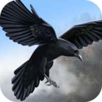 Wild Life: Flying Crow Sim