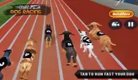Fast Dog Racing 3D Screen Shot 0