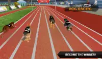 Fast Dog Racing 3D Screen Shot 3