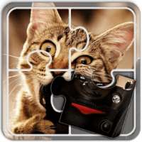 Jigsaw Puzzles Cats