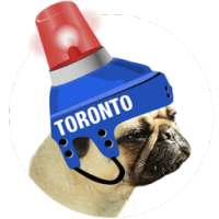 Toronto Hockey Photo Editor