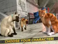 Oh My Cat! - Subway Race Screen Shot 3