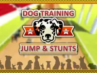 Dog Training Jump & Stunt Sim Screen Shot 11