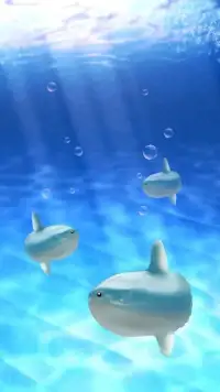 Aquarium sunfish simulation Screen Shot 0
