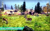 Deer Hunting Amazing Adventure Screen Shot 4