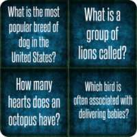 Animal trivia quiz
