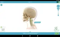 3D Anatomy Quiz Screen Shot 12