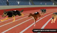 Fast Dog Racing 3D Screen Shot 4