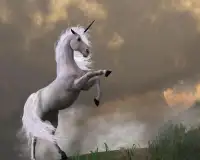 Fantasy Unicorn Puzzle Screen Shot 1