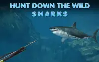 Deep Sea Shark Fishing 3D Screen Shot 3