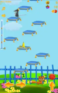 Jumpy Kitty Cat - Jumping Game Screen Shot 7