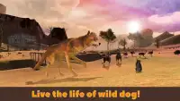 Dingo Dog Survival Simulator Screen Shot 3