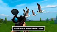 Jungle Sniper Birds Hunter Screen Shot 4