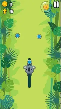 Koala Sling - Game Screen Shot 1