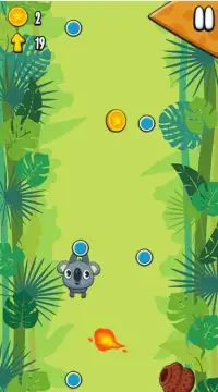 Koala Sling - Game Screen Shot 4