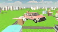 Flying Car Sim 3D Screen Shot 3