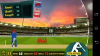 World Cricket: Indian T20 2016 Screen Shot 0