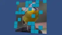 Wordsearch Revealer - Birds Screen Shot 4