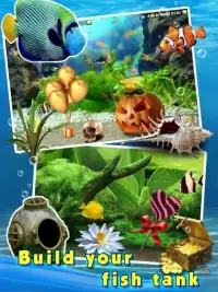 Sim Aquarium - Fish Tanks 3D Screen Shot 2