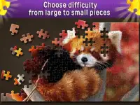 Jigsaw Puzzles World Screen Shot 9