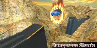 Car Stunts Game 3D Screen Shot 2