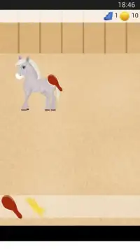 Horse Care Game Screen Shot 2
