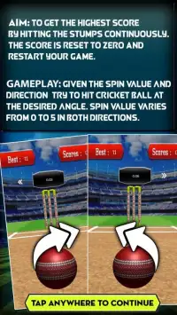 Flick Spinner Cricket 3D Screen Shot 0