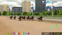 Pick Horse Racing Screen Shot 1