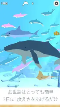 まったりイルカ育成ゲーム - 癒されるイルカのゲーム(無料) Screen Shot 5