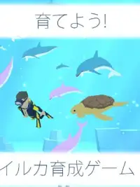 まったりイルカ育成ゲーム - 癒されるイルカのゲーム(無料) Screen Shot 2
