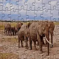Jigsaw Puzzles - Lost Wild Screen Shot 6