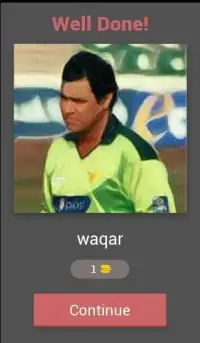 Guess inside cricketer Screen Shot 19