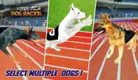Fast Dog Racing 3D Screen Shot 5